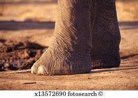 Ancient civilizations mysteries