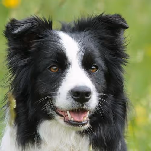 Rock climbing challenges