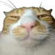 yueqianling