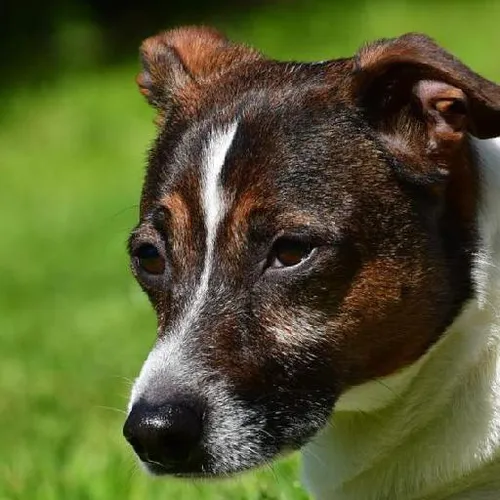 Startup success strategies