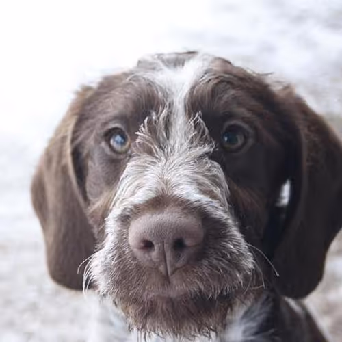 Healthcare accessibility campaigns