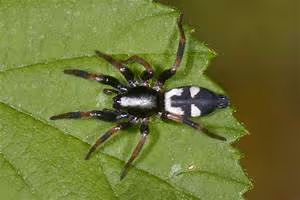 Railway adventures abroad