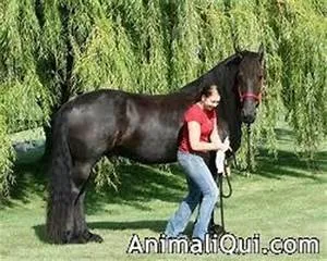 Capturing nature's beauty