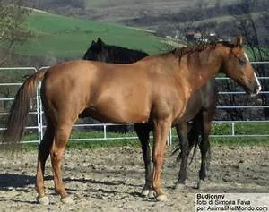 Rock climbing challenges