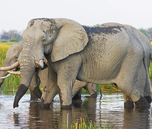 Chinese dynasties tales