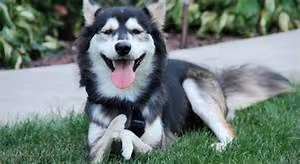 Pedaling scenic routes