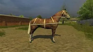 Ancestral traditions safeguarding