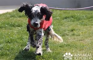 Conflict resolution workshops