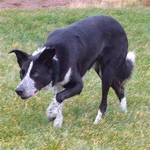 Virtual reality escapades