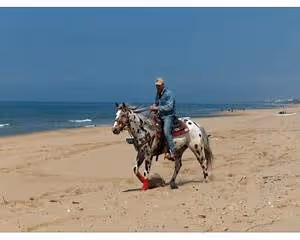 Dance and music workshops