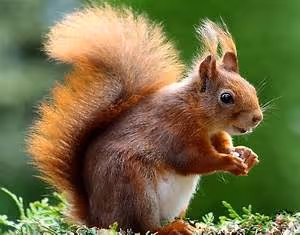 Epic highway adventures