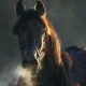 horse