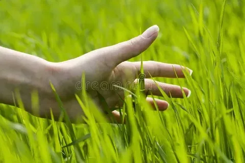 222