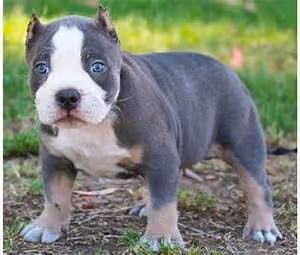 Innovative learning approaches