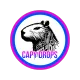 CAPY DROPS