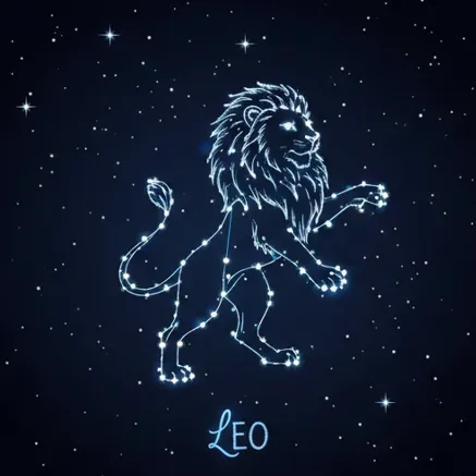 LEO