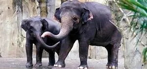 Underwater hotel experiences