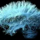 ghdfg