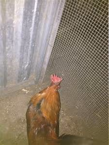 Bungee jumping adventures