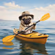 fishdog