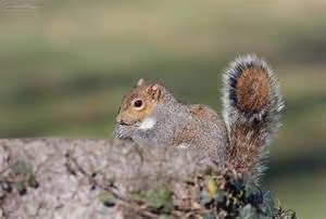 Gender equality advocacy