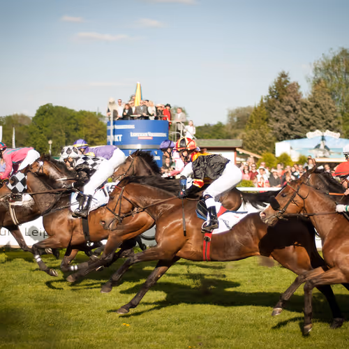 Culinary delights exploration