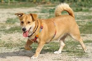 Team building retreats