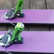 Skisus 
