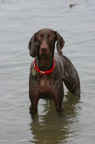 Self-growth empowerment