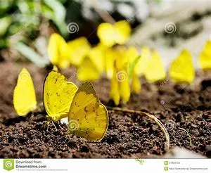 Time-traveling adventures