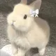 hjsk