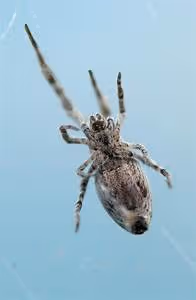 Sustainability awareness