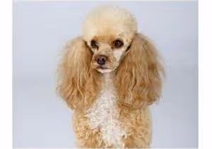 Collaborative synergy fostered