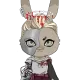 the rabbit
