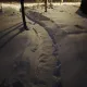 White Canvas