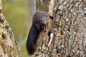 Hidden treasure hunt