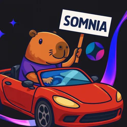 Capy Driver Somnia