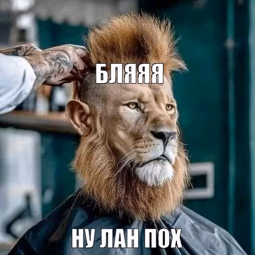 вапапвавп