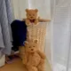 HTFDHFTH