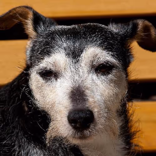 Pedaling scenic routes