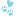 ZestyOcelot