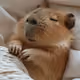 turu