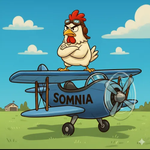 SomChick