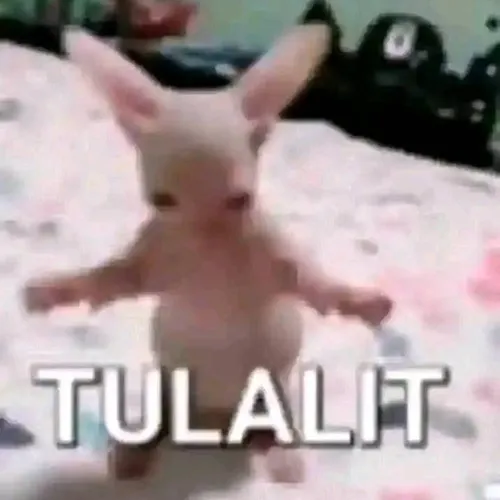 Tulalit