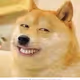Dogsmile