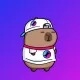 Capy
