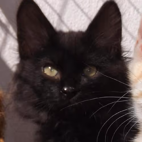 Floating above scenic vistas