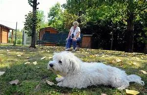 River rapids conquests