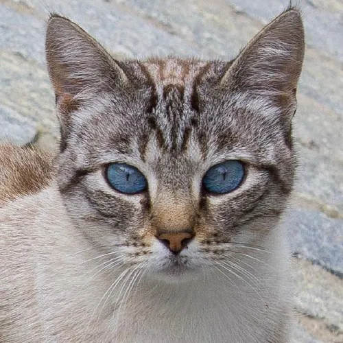 Entrepreneurship boot camps