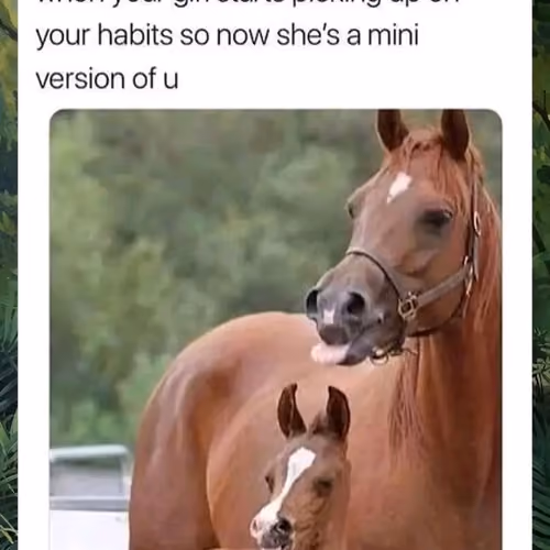 Glo
